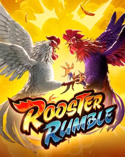 timbet com