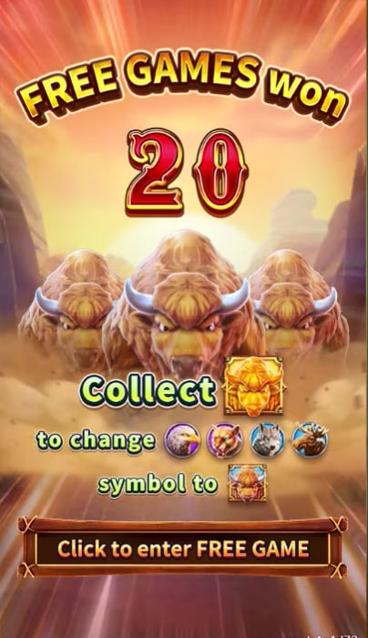 6z top